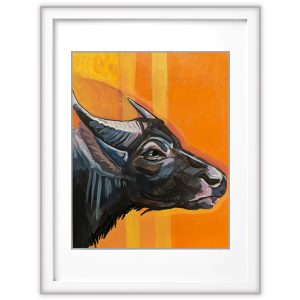 Water Buffalo